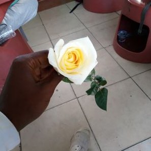 Profile Picture of Oliver Bone (@mateovidal32) on Twitter