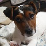 Profile Picture of Rudy (@rudy_russell19) on Instagram