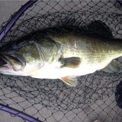 Profile Picture of Steven Tiller (@TeenFishermen) on Twitter