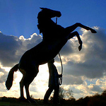 Profile Picture of Brian Starling (@brian starling) on Flickr