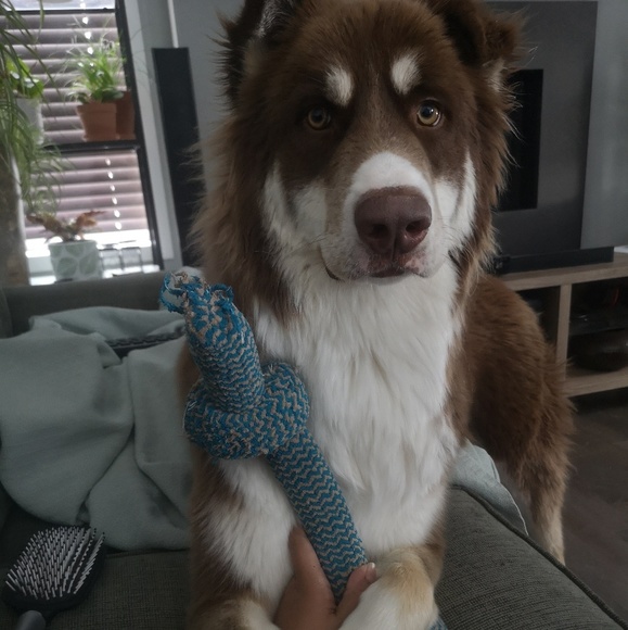 Profile Picture of Cherrilly Ramos (@cheesquared92) on Poshmark