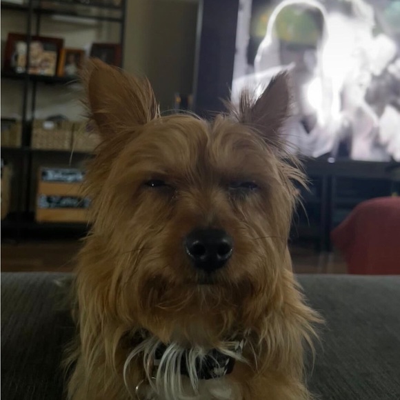 Profile Picture of Robert Figgy (@robertfiggy) on Poshmark
