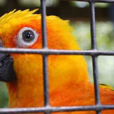 Profile Picture of Terry Weaver (@TerryWeaver111) on Twitter