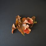 Profile Picture of Gregor Hartmann (@flowersandstylevienna) on Instagram