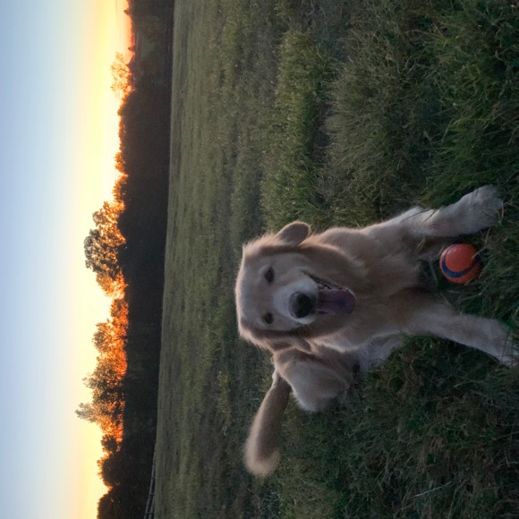 Leonie Amelung - Poshmark Profile Picture of Leonie Amelung (@leonieamelung) on Poshmark