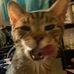 Profile Picture of Boris Catenov and Fambly (@boriscatenov) on Facebook