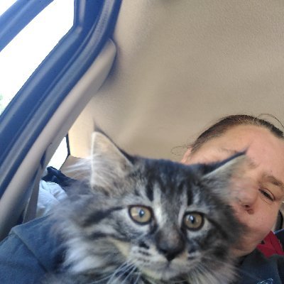 Profile Picture of Lisa D Guzzo (@guzzo_lisa) on Twitter