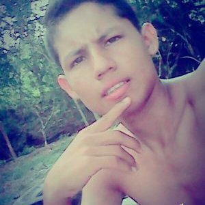 Profile Picture of Bryan Prieto (@Bryanprieto1420) on Twitter