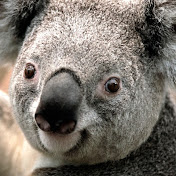 Profile Picture of B Lance (@blance7162) on Youtube