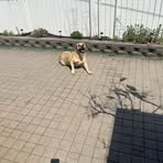 Profile Picture of Henry Wasik (@MorningWaterrr) on Facebook