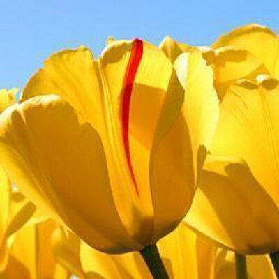 Profile Picture of Kira Renee Durst (@kirareneedurst) on Twitter