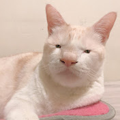 Profile Picture of Ting Tseng (@nuw330) on Youtube