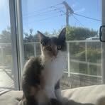 Profile Picture of Nathan Sedgman (@n.sedgman09) on Facebook