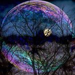 Profile Picture of Cassandra Warren (@positivethoughtsfb) on Flickr