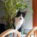 Profile Picture of Marilyn Metzger Tabaczynski (@marilyn.metzger.58) on Facebook