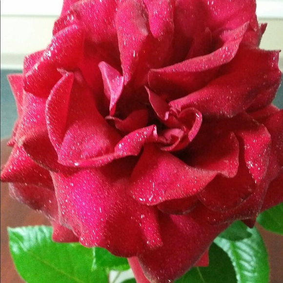 Profile Picture of Doris Talbert (@doristalbert) on Poshmark