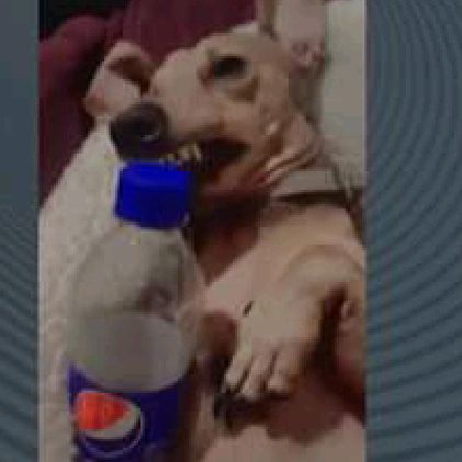 Profile Picture of cherry (@jerrytravesuras) on Tiktok