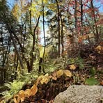 Profile Picture of Marc Chouinard (@chouin00) on Facebook