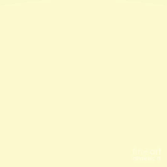 Profile Picture of Shahad Alasady (@shahadalasady) on Poshmark