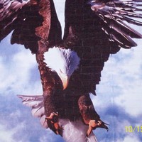 Profile Picture of Robert Raesch (@robert-raesch) on Quora