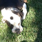 Profile Picture of jessechaire (@jessechaires) on Instagram