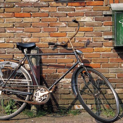 Profile Picture of Barbara McClintock (@cyclequilter) on Twitter