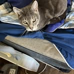 Profile Picture of Eileen Carlson (@eileen.carlson.94978) on Facebook