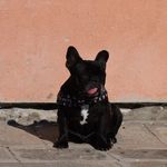 Profile Picture of Lisa Rubert🌻 (@lisa_rubert) on Instagram