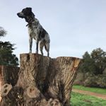 Profile Picture of Steve Keithley (@skeithley) on Instagram