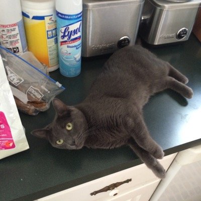 Profile Picture of Chris Xu (@Chris23flight) on Twitter