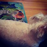 Profile Picture of Kyle Pedrick (@pedrick.kyle) on Instagram