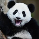 Profile Picture of Jay Burrows (@jay.burrows3) on Instagram