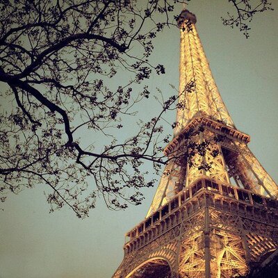 Profile Picture of Jehad E. Mahmoud (@_gixii) on Twitter