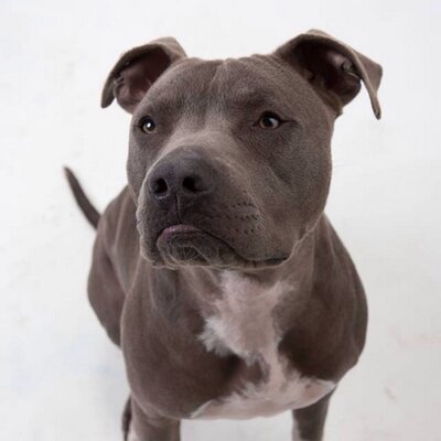 Profile Picture of Anthony Pye (@carz468) on Twitter