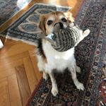 Profile Picture of Chris Böhlen (@bohlenchris) on Instagram