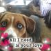 Profile Picture of Lee Richmond (@lee.richmond.1675) on Facebook