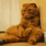 Josh Farley - Instagram Profile Picture of Josh Farley (@josh_farley2005) on Instagram