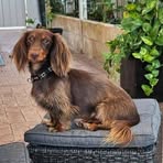 Profile Picture of Danny Whittaker (@Danny-Whittaker) on Facebook