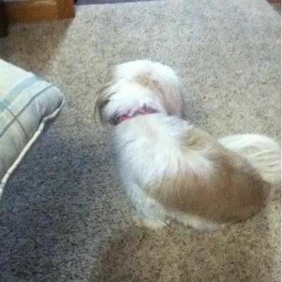 Profile Picture of Skylar Moore (@skylarmoore339) on Twitter