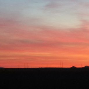 Profile Picture of Healthy Roots (@oe_aaron) on Twitter