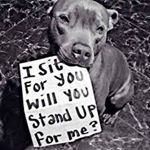 Profile Picture of clara freeman (@welovefood266) on Instagram