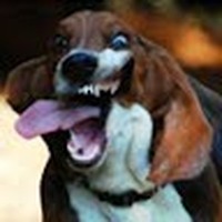 Profile Picture of Nicholas Heil (@nicholas-heil-2) on Quora