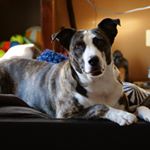 Profile Picture of Jon Shirley (@mrjonshirley) on Instagram