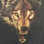Profile Picture of 1 follower (@frankfuchs80) on Instagram