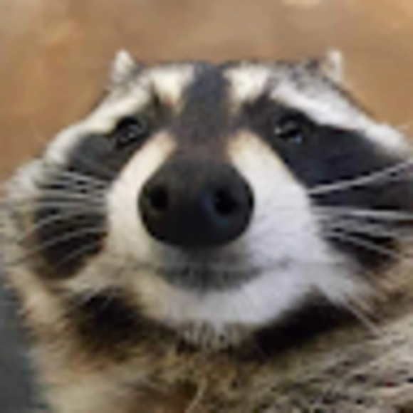 Profile Picture of Jesse Gallardo (@isekai_guy) on Poshmark