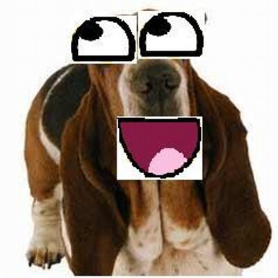 Profile Picture of Cody Patrick Bacon (@Bassethoundguru) on Twitter