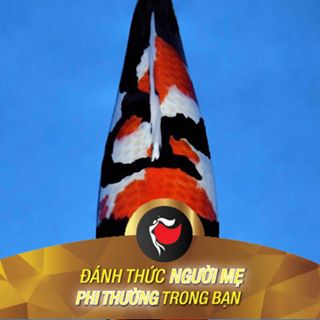 Profile Picture of Xương Rồng (Andy xinh) (@X&) on Facebook