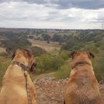 Profile Picture of Brendan Minogue (@brendan.minogue.9) on Facebook