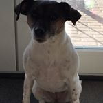 Profile Picture of Claudia (@claudia_randschau) on Instagram