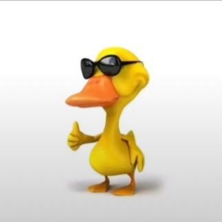 Profile Picture of Davi Pinato (@davipinato) on Tiktok